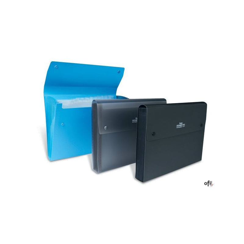 Teczka harmonijkowa A4 13kiesz. czarna przezroczysta DCD14AT PENTEL