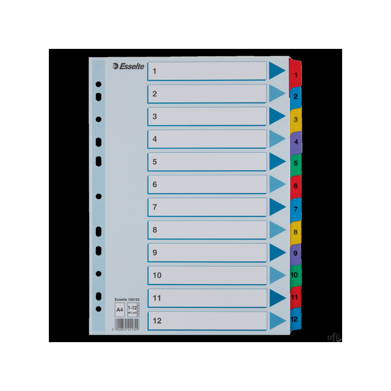 Przekładki kartonowe MYLAR A4 1-12 100162 białe ESSELTE