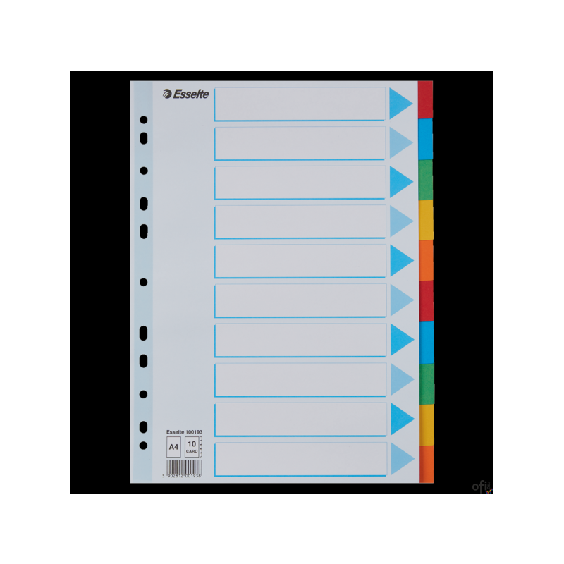 Przekładki karton A4 10 kart ESSELTE 100193 kolorowe z kartą opisową