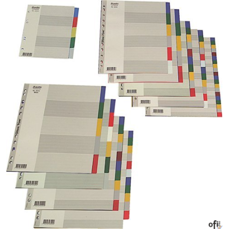 Przekładki OXFORD z kolorowego PP, A4, 10 kart 100205063