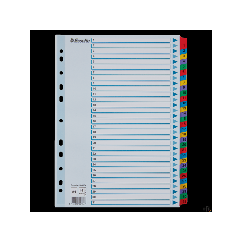 Przekładki kartonowe MYLAR A4 1-31 100164 białe ESSELTE
