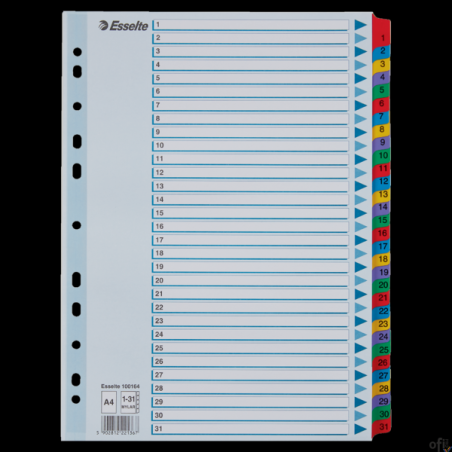 Przekładki kartonowe MYLAR A4 1-31 100164 białe ESSELTE