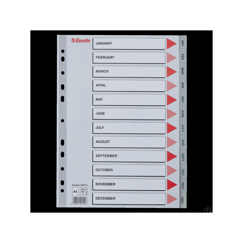 Przekładki plastikowe szare PP A4 12 miesięcy 100114 numeryczne ESSELTE