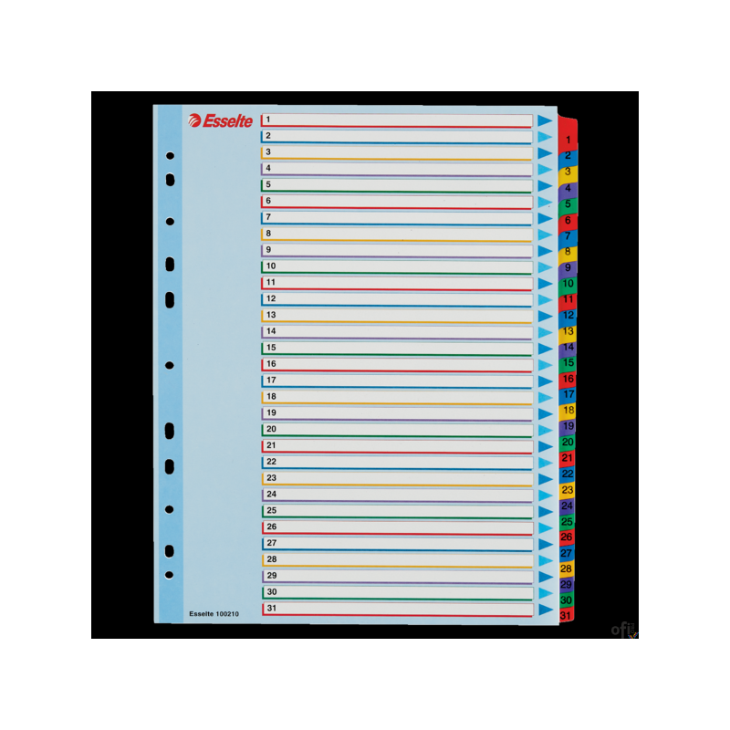Przekładki kartonowe MYLAR A4 MAXI 1-31 ESSELTE 100210