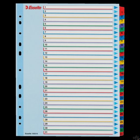 Przekładki kartonowe MYLAR A4 MAXI 1-31 ESSELTE 100210