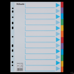 Przekładki kolorowy karton z kartą opisową A4 ESSELTE 12 kart 100194