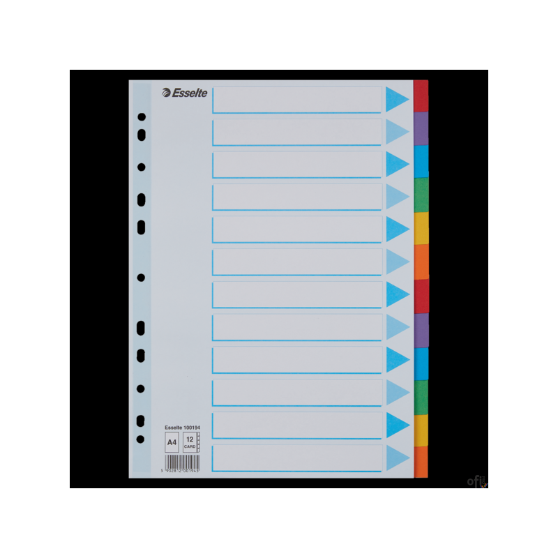 Przekładki kolorowy karton z kartą opisową A4 ESSELTE 12 kart 100194