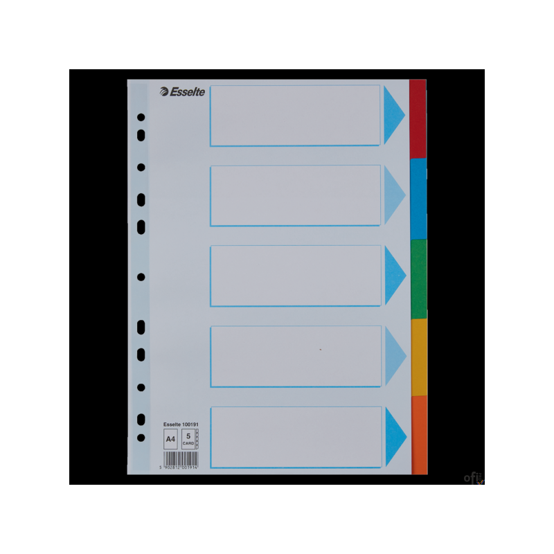 Przekładki karton A4 5 kart ESSELTE 100191 kolorowe z kartą opisową