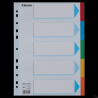 Przekładki karton A4 5 kart ESSELTE 100191 kolorowe z kartą opisową