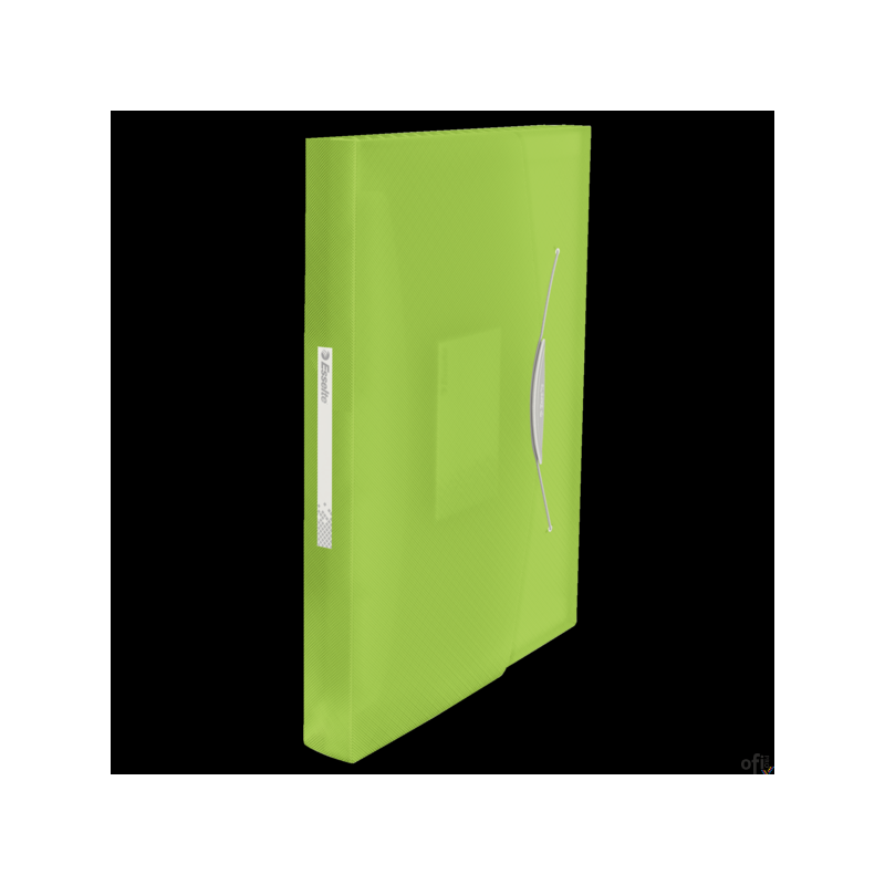 Teczka z przegródkami ESSELTE VIVIDA zielona 624019