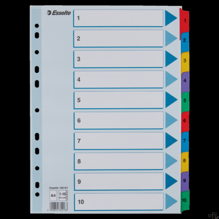 Przekładki kartonowe MYLAR A4 1-10 100161 białe ESSELTE
