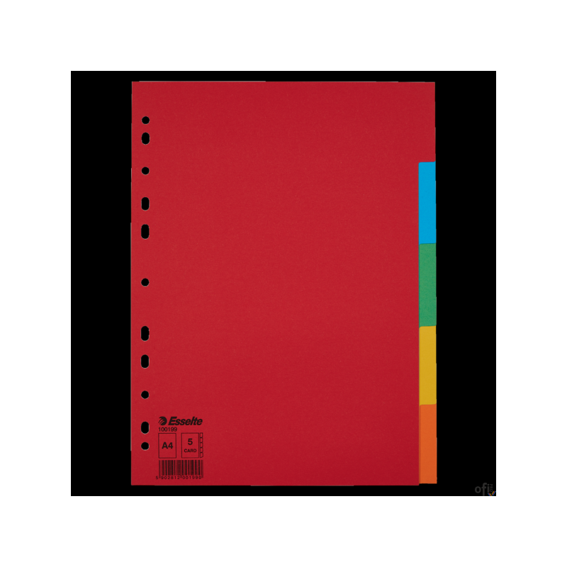 Przekładki karton A4 5 kart ESSELTE 100199 kolorowe bez karty opisowej