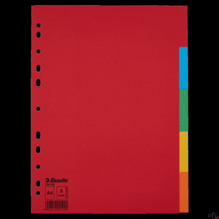 Przekładki karton A4 5 kart ESSELTE 100199 kolorowe bez karty opisowej