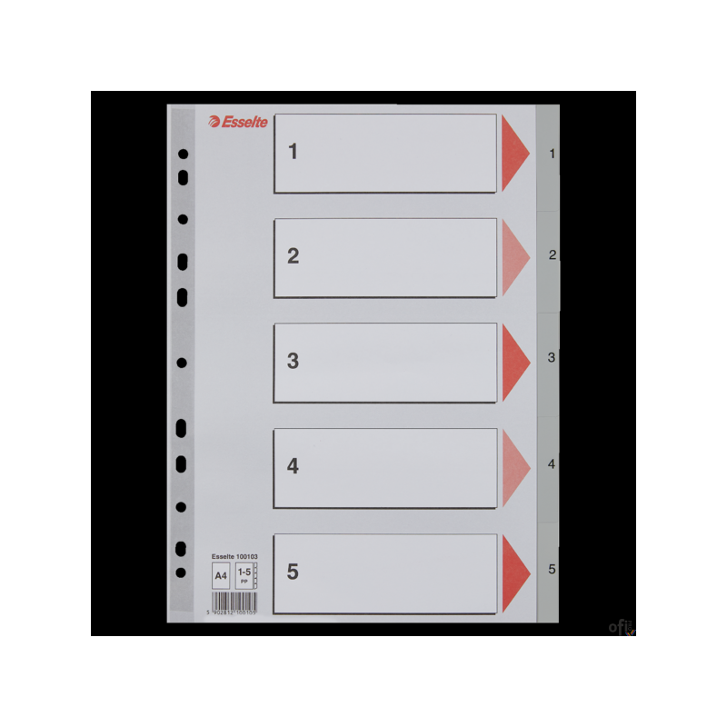 Przekładki plastikowe szare PP A4 1-5 100103 numeryczne ESSELTE