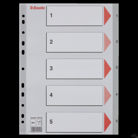 Przekładki plastikowe szare PP A4 1-5 100103 numeryczne ESSELTE