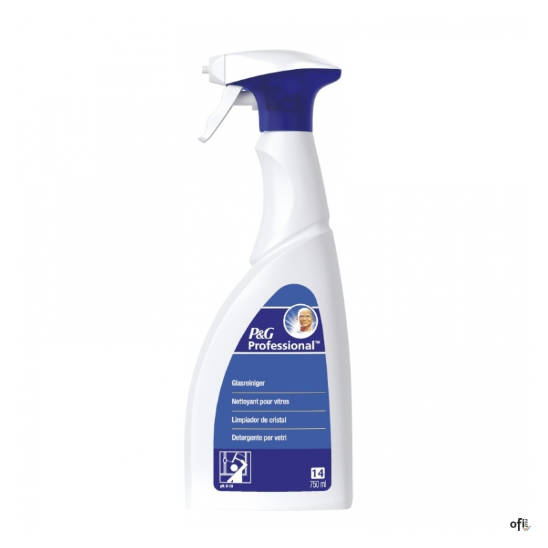 MR.PROPER  Professional Płyn do czyszczenia szyb 750ml 1001003997