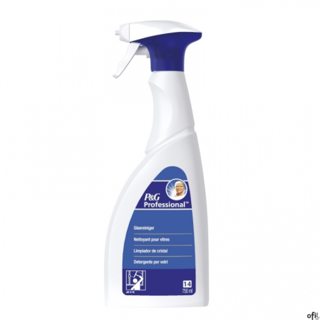 MR.PROPER  Professional Płyn do czyszczenia szyb 750ml 1001003997