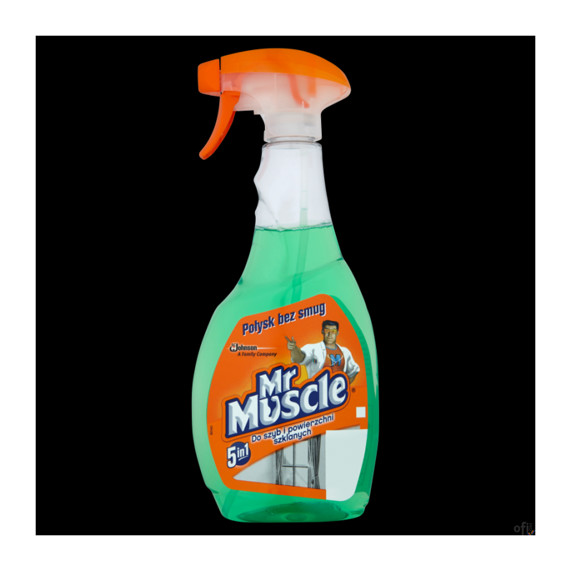 MR.MUSCLE płyn do szyb 500ml z rozpylaczem zielony *139266