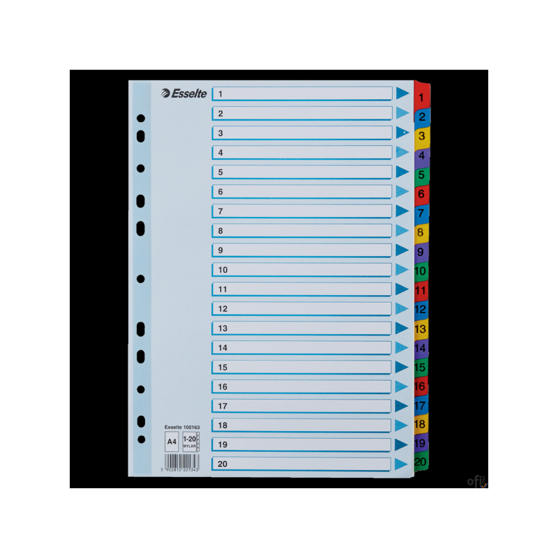 Przekładki kartonowe MYLAR A4 1-20 100163 białe ESSELTE